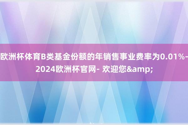 欧洲杯体育B类基金份额的年销售事业费率为0.01%-2024欧洲杯官网- 欢迎您&