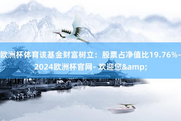 欧洲杯体育该基金财富树立：股票占净值比19.76%-2024欧洲杯官网- 欢迎您&