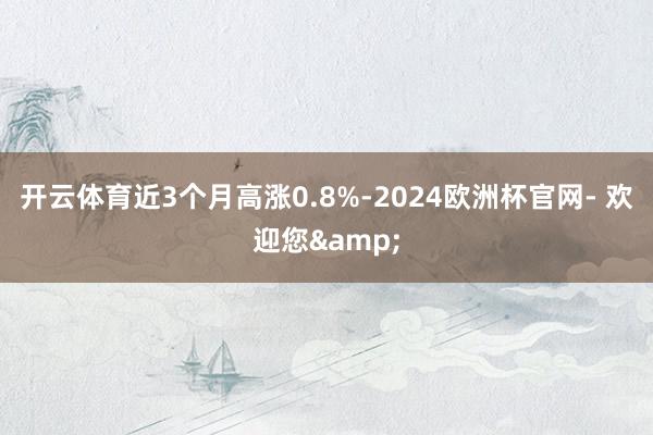 开云体育近3个月高涨0.8%-2024欧洲杯官网- 欢迎您&