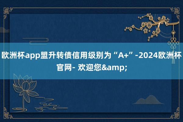 欧洲杯app盟升转债信用级别为“A+”-2024欧洲杯官网- 欢迎您&