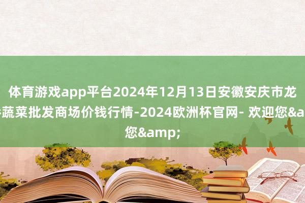 体育游戏app平台2024年12月13日安徽安庆市龙狮桥蔬菜批发商场价钱行情-2024欧洲杯官网- 欢迎您&