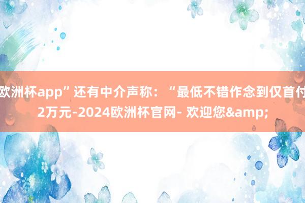 欧洲杯app”还有中介声称：“最低不错作念到仅首付2万元-2024欧洲杯官网- 欢迎您&