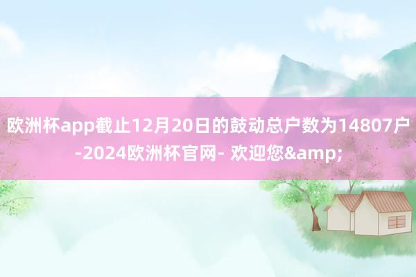 欧洲杯app截止12月20日的鼓动总户数为14807户-2024欧洲杯官网- 欢迎您&