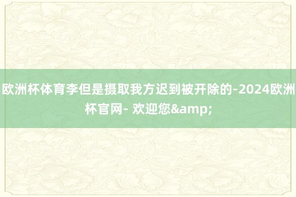 欧洲杯体育李但是摄取我方迟到被开除的-2024欧洲杯官网- 欢迎您&