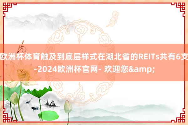 欧洲杯体育触及到底层样式在湖北省的REITs共有6支-2024欧洲杯官网- 欢迎您&