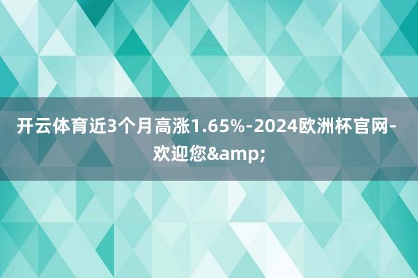 开云体育近3个月高涨1.65%-2024欧洲杯官网- 欢迎您&