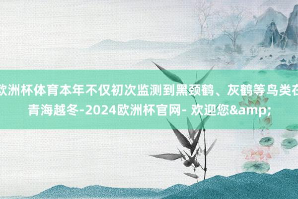 欧洲杯体育本年不仅初次监测到黑颈鹤、灰鹤等鸟类在青海越冬-2024欧洲杯官网- 欢迎您&