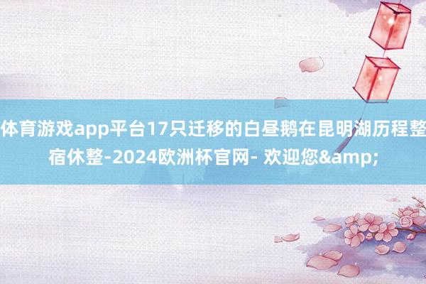 体育游戏app平台17只迁移的白昼鹅在昆明湖历程整宿休整-2024欧洲杯官网- 欢迎您&