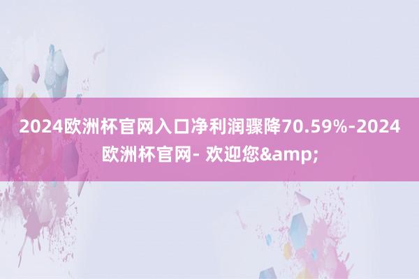 2024欧洲杯官网入口净利润骤降70.59%-2024欧洲杯官网- 欢迎您&