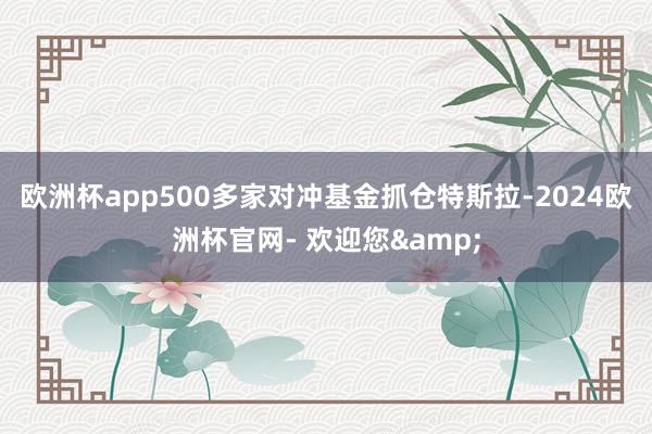 欧洲杯app500多家对冲基金抓仓特斯拉-2024欧洲杯官网- 欢迎您&