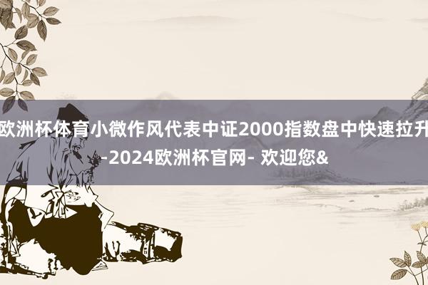 欧洲杯体育小微作风代表中证2000指数盘中快速拉升-2024欧洲杯官网- 欢迎您&