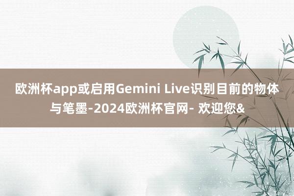 欧洲杯app或启用Gemini Live识别目前的物体与笔墨-2024欧洲杯官网- 欢迎您&