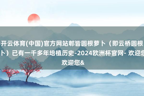 开云体育(中国)官方网站郫皆圆根萝卜（即云桥圆根萝卜）已有一千多年培植历史-2024欧洲杯官网- 欢迎您&