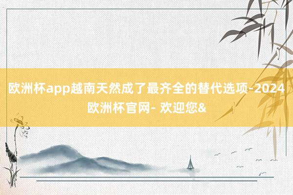 欧洲杯app越南天然成了最齐全的替代选项-2024欧洲杯官网- 欢迎您&