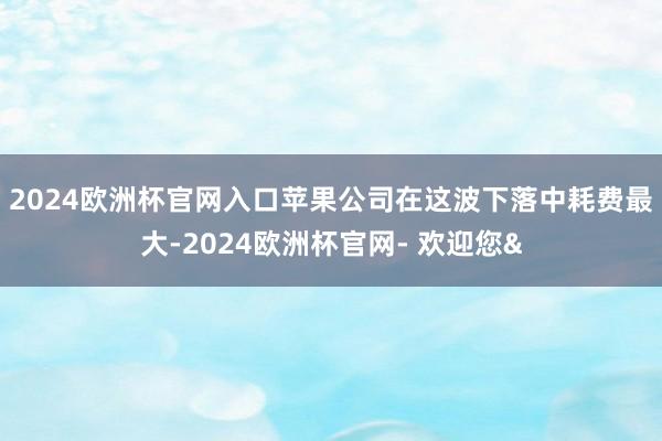 2024欧洲杯官网入口 苹果公司在这波下落中耗费最大-2024欧洲杯官网- 欢迎您&