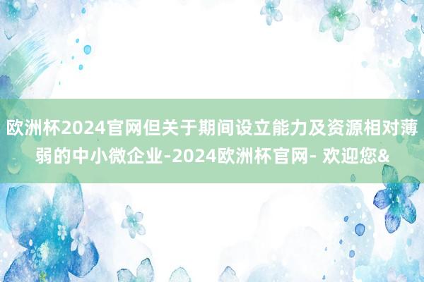 欧洲杯2024官网但关于期间设立能力及资源相对薄弱的中小微企业-2024欧洲杯官网- 欢迎您&