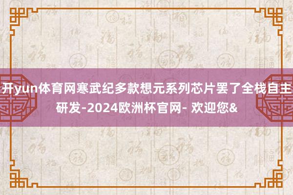 开yun体育网寒武纪多款想元系列芯片罢了全栈自主研发-2024欧洲杯官网- 欢迎您&