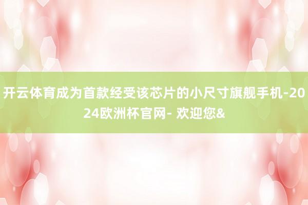 开云体育成为首款经受该芯片的小尺寸旗舰手机-2024欧洲杯官网- 欢迎您&